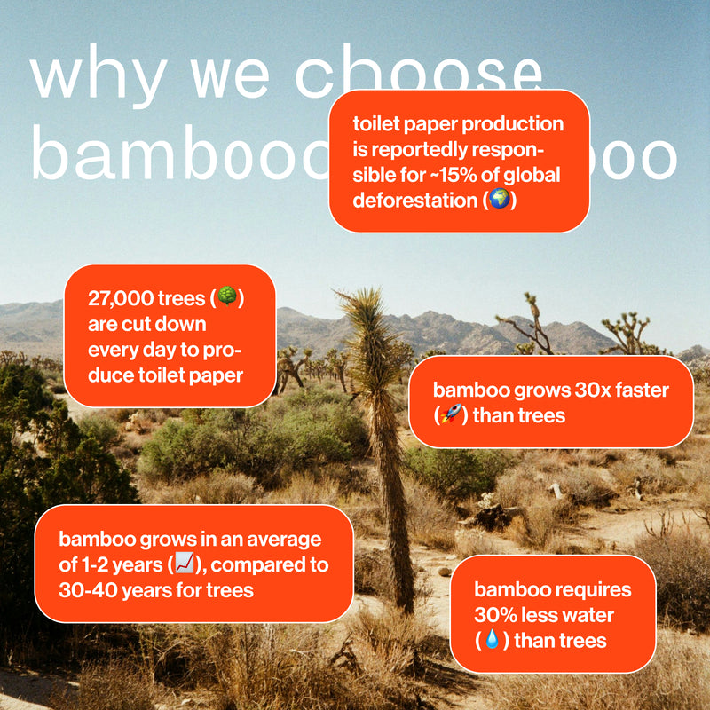Sustainable bamboo toilet rolls